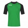 Chelsea Shirt green - black